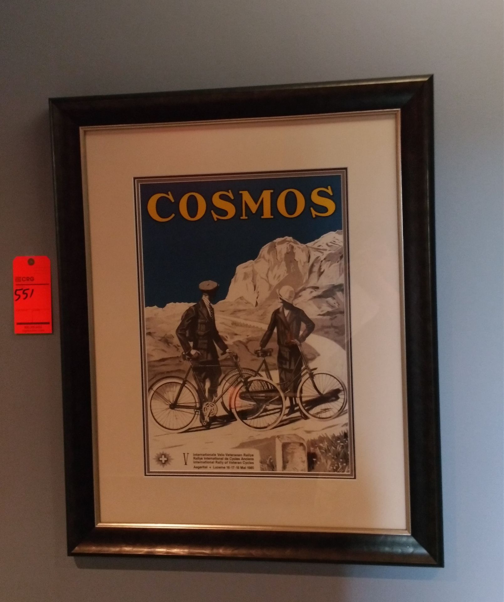 Cosmos Cycles framed print, 33"x27"