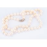 Mikimoto 24" 8 x 8.5 mm Pearls