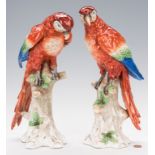 Pair of Continental Porcelain Parrots