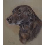 Marjorie Cox, a head and shoulders portrait of a dog, Treacle, pastel, signed,