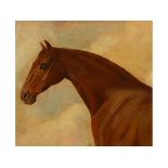 English school, 19th century, a study of a chestnut horse, oil on canvas,