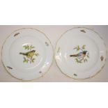 A pair of Meissen porcelain bird side plates, the edges decorated insects,