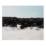 ɑ Peter Brook, High Up-Cripple Gap, oil on canvas, signed and titled,