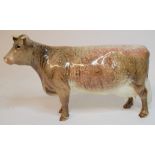 A Beswick Dairy Shorthorn Cow, 1510, small chip front left hoof,