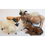 A Beswick Wensleydale Sheep, 4123, a Highland Calf, 1827D, leg glued, a Foal, lying, brown, 915,