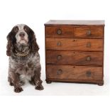A tabletop/miniature mahogany chest, two short and three graduated long drawers, on bun feet,