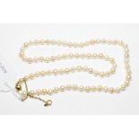 A pearl necklace, with a 9ct gold clasp