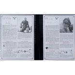 A Luftwaffe Fighter Aces profile collection,