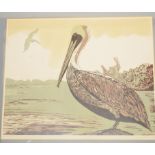 A Jennifer Mathison artist's proof print, Brown Pelican, signed and dated 1986 to the margin,