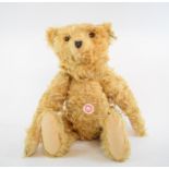 A Steiff limited edition teddy bear, 35PB 1904 replica, 1554/6000, 404108, 50 cm high,