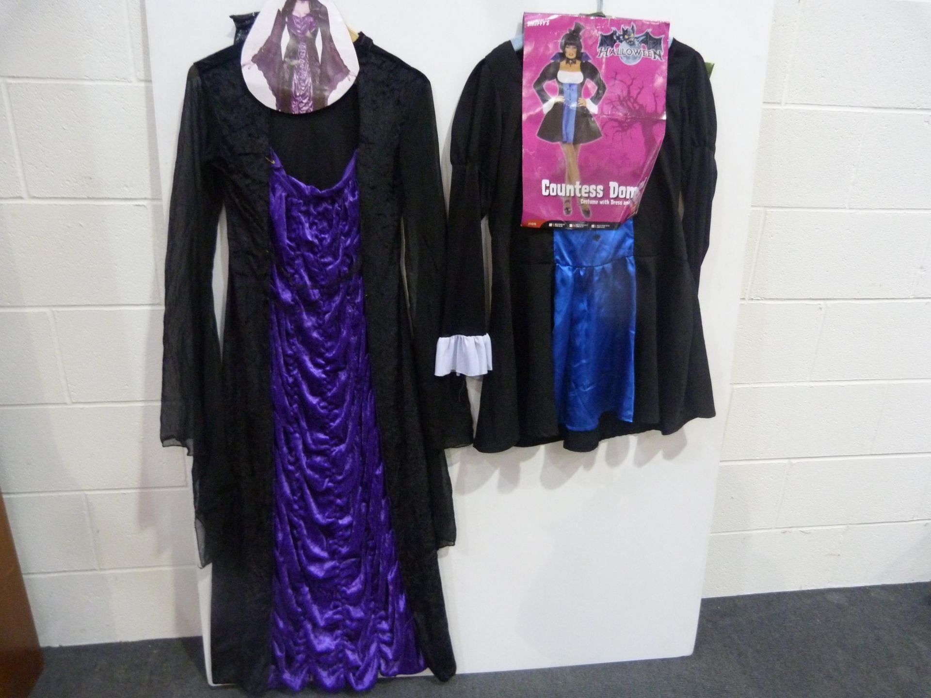 Qty of Adult Fancy Dress in Used condition to include, Tinkerspell, Wild Ivy Elf, Scary Fairies, - Image 6 of 6