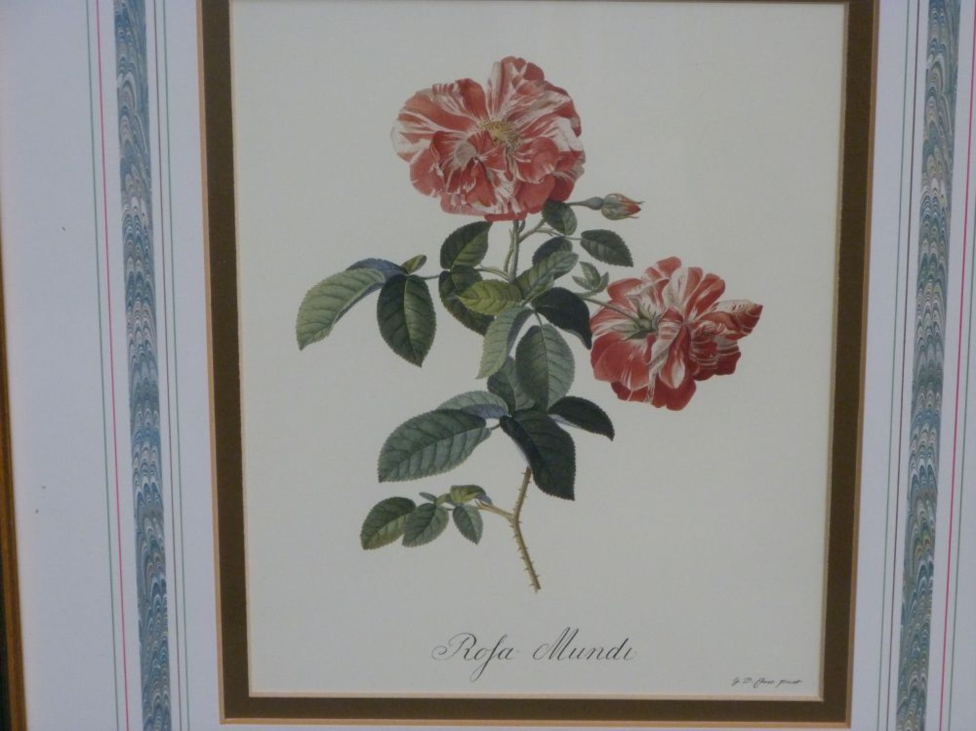 Four floral prints in gilt frames (all 47cm x 40cm) (est. £15-£30) - Image 2 of 6