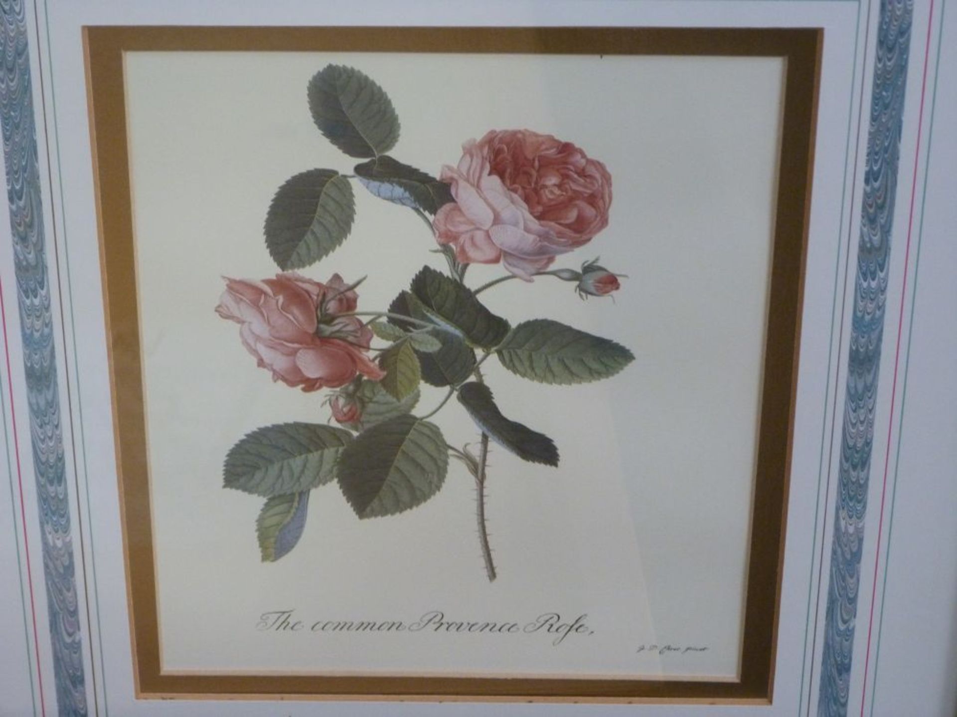 Four floral prints in gilt frames (all 47cm x 40cm) (est. £15-£30) - Image 4 of 6