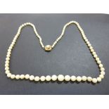 This is a Timed Online Auction on Bidspotter.co.uk, Click here to bid. Graduated cultured Pearl