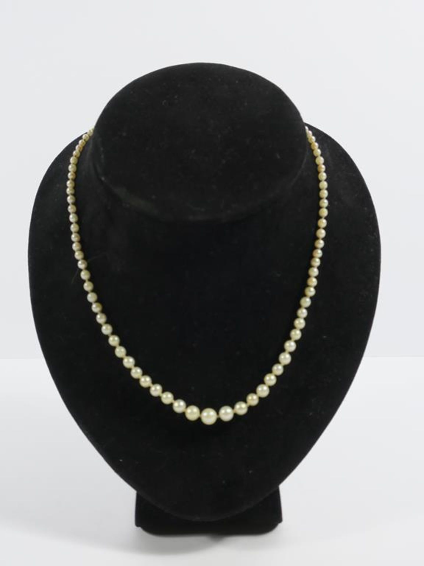 A Stringed Pearl Necklace with Silver coloured and Gemstone Clasp. (Est £20-£50)