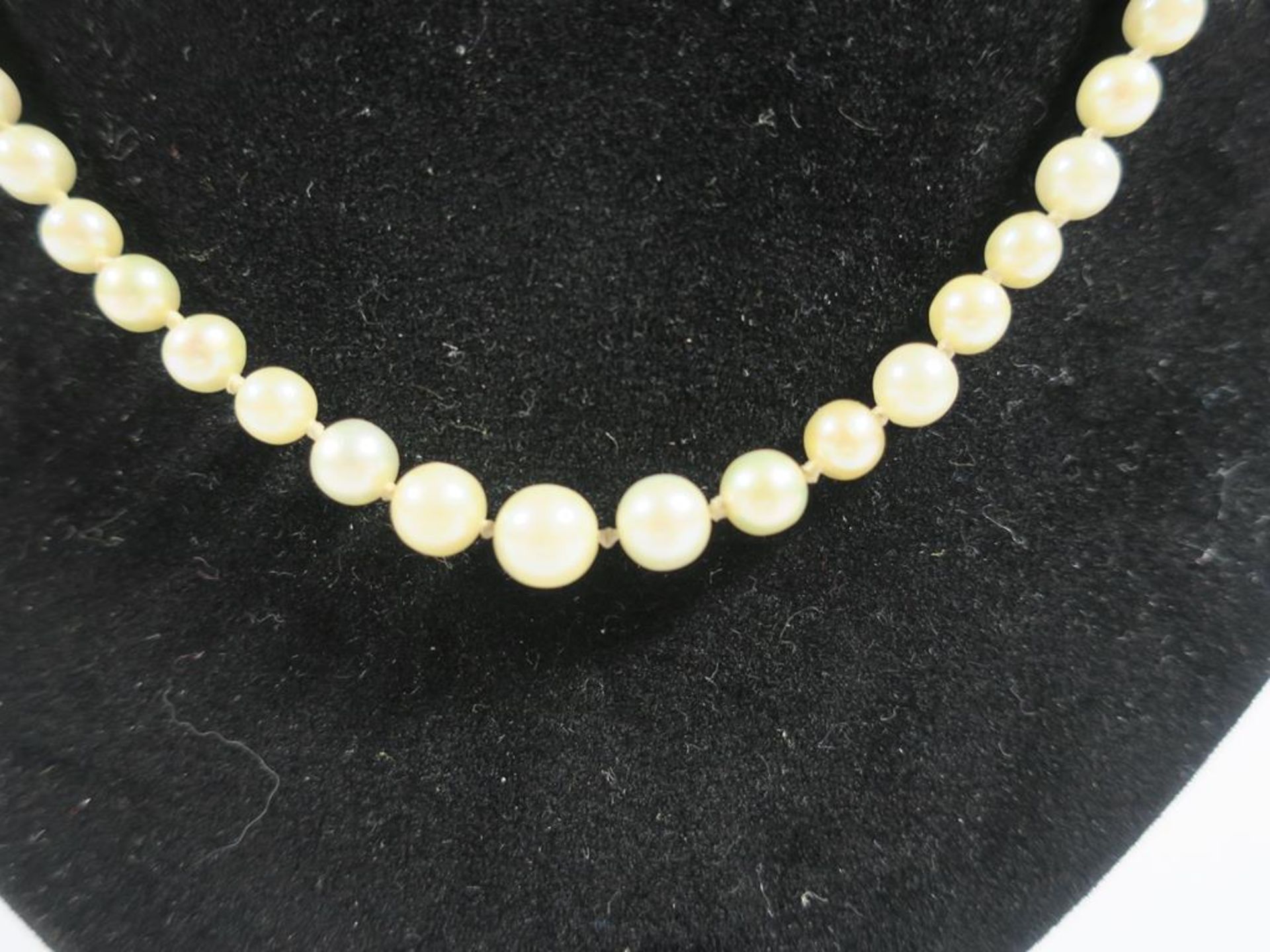 A Stringed Pearl Necklace with Silver coloured and Gemstone Clasp. (Est £20-£50) - Image 2 of 5