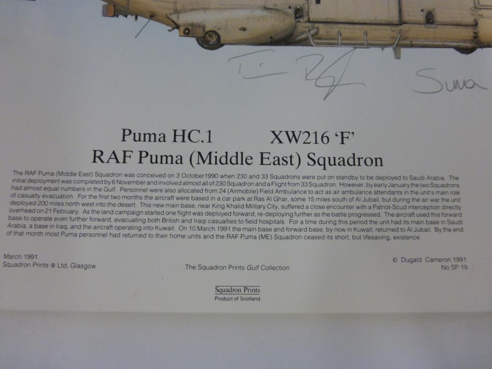 A lot to include an unframed Print of ''Desert Storm Puma HCI'', signed by sixteen and an unframed - Image 9 of 14