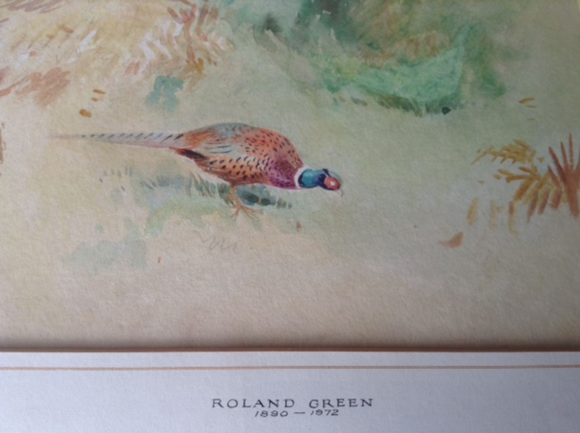 Framed original watercolour pheasant. Roland green - Image 3 of 3