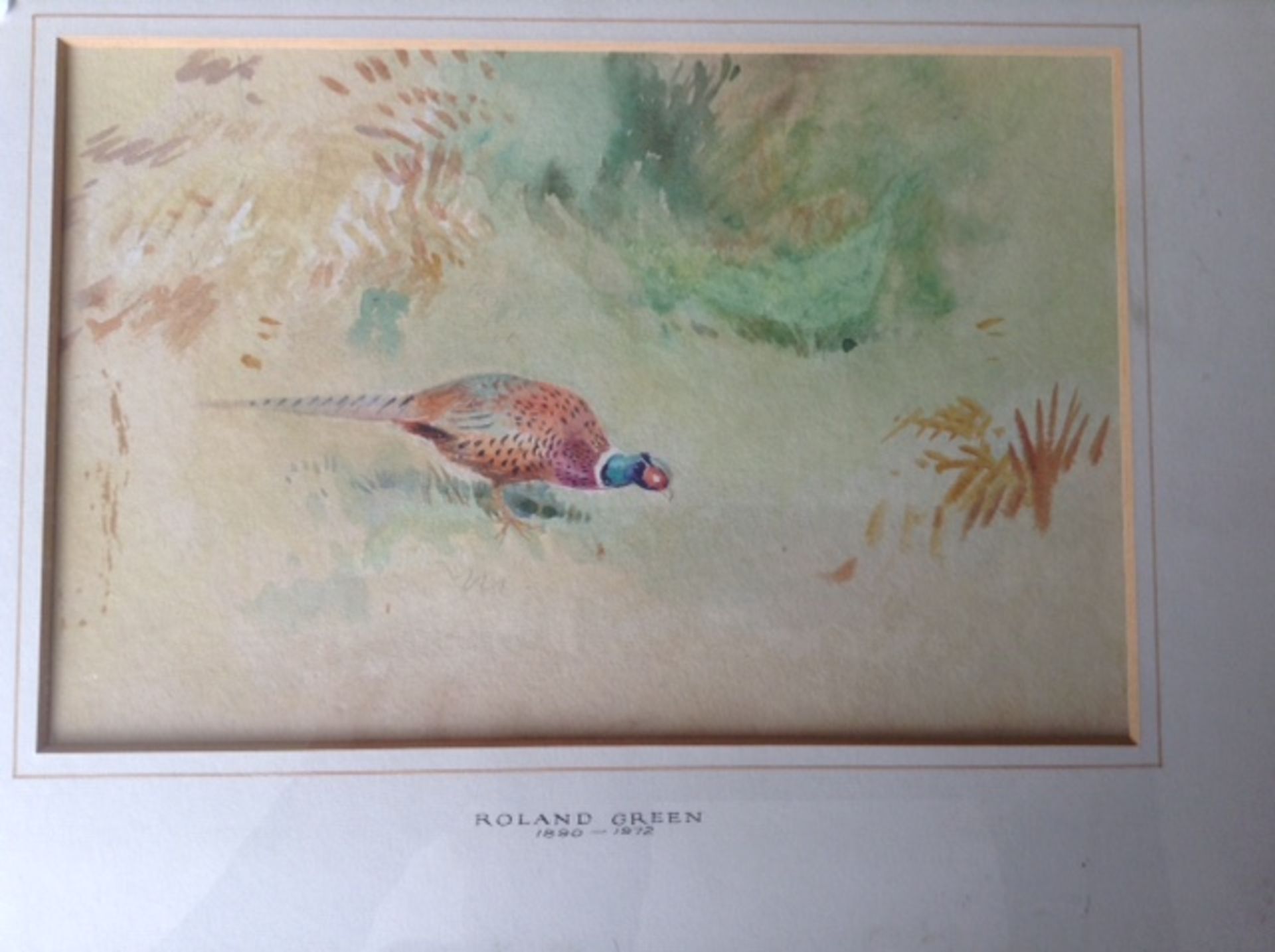 Framed original watercolour pheasant. Roland green - Image 2 of 3