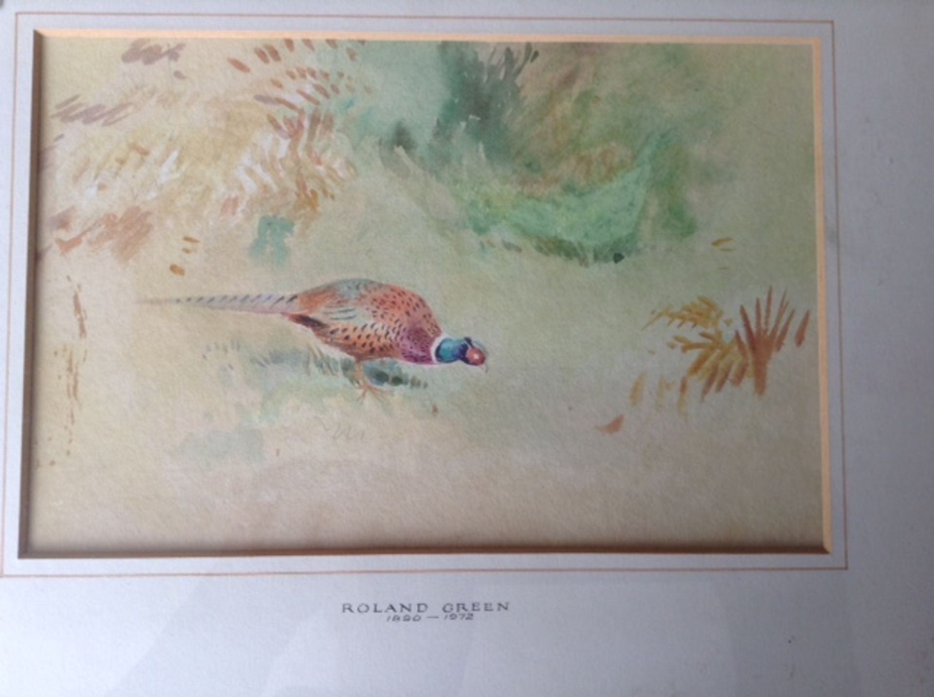 Framed original watercolour pheasant. Roland green