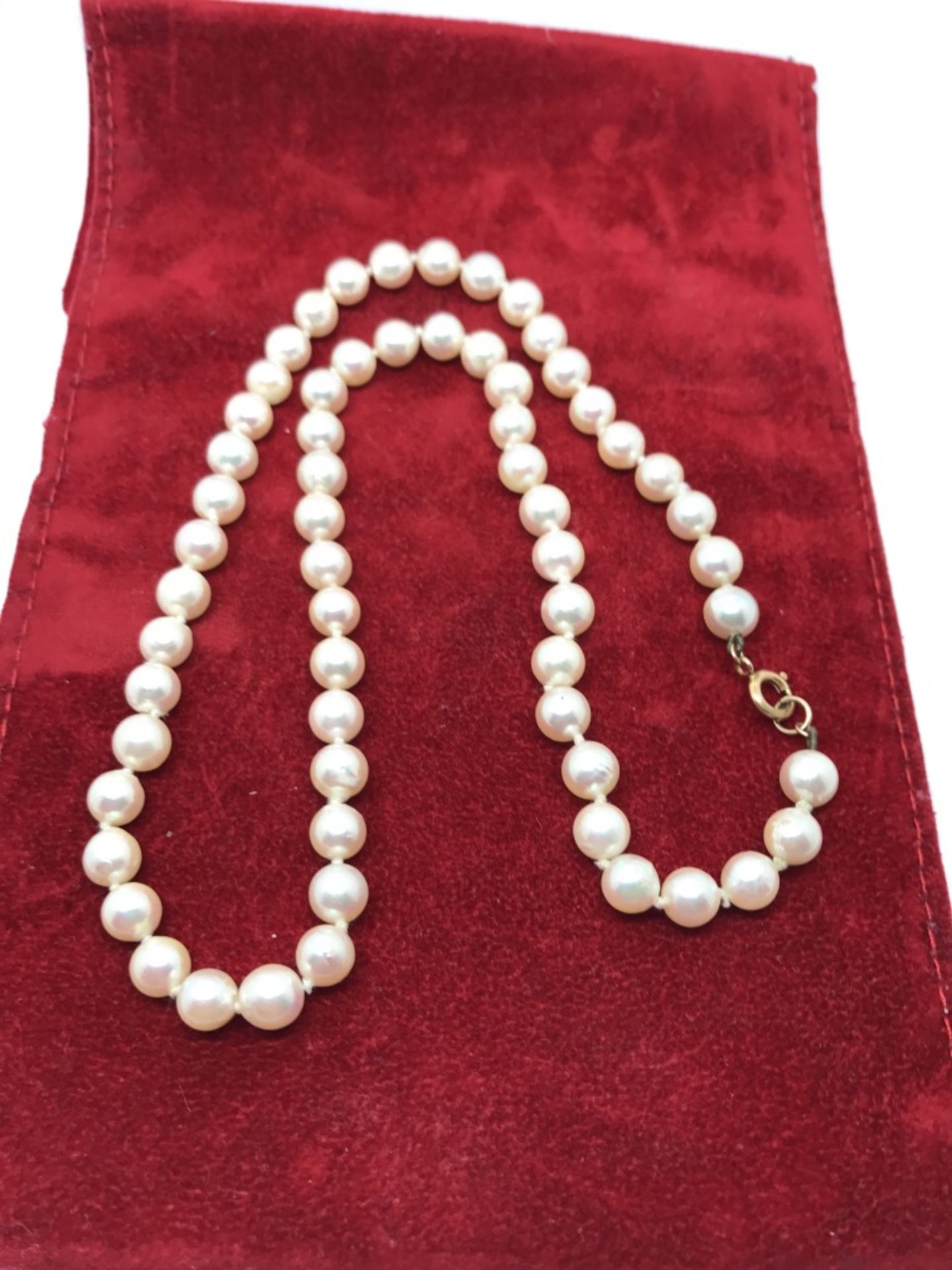 9ct Gold Clasp Cultured Pearl Necklace