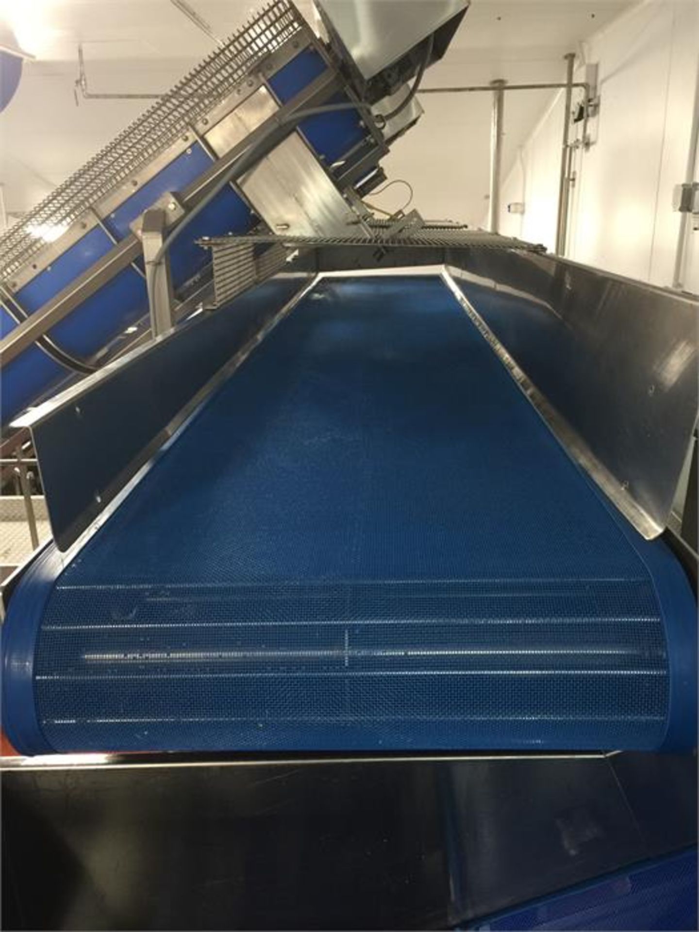 TURATTI DE=WATERING CONVEYOR - Image 2 of 3