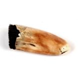 A 19th century whale's tooth scrimshaw pen wipe, simply carved with flowers, 9cms (3.5ins) high.