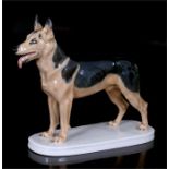 A Meissen figure of an Alsatian, crossed sword marks to base, 22cms (8.6ins) long. Condition