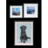 Susan Maud (Modern British) - Portrait of a Retriever - pastel, signed lower right, framed & glazed,