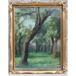 James Kay RSA - Woodland Scene - signed lower right, oil on board, framed & glazed, 17 by 23cms (6.