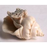 A Japanese ivory netsuke in the form of a toad on a sea shell, with two character mark to underside,