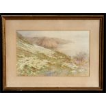 Ethel Sophie Cheeswright (1874-1977), A view of Sark, signed lower left corner, watercolour,