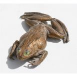 A gilt cast lead desk weight in the form of a frog, 10cms (4ins) wide. Condition Report One back