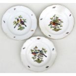 Three 19th century Meissen plates decorated with birds and insects, with blue crossed swords marks