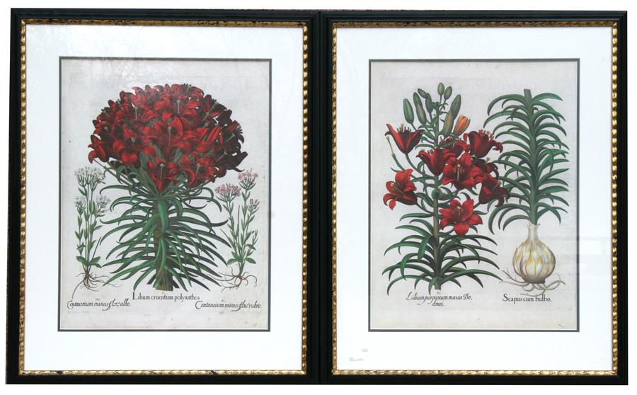 A pair of 17/18th century style prints, depicting lilies, 42cm x 54cm ( 16.5ins x 24.25ins) framed