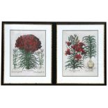 A pair of 17/18th century style prints, depicting lilies, 42cm x 54cm ( 16.5ins x 24.25ins) framed