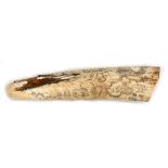 A walrus ivory tusk scrimshaw with incised design of HMS Oberoy, the obverse decoration of a whale