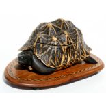 An Anglo-Indian tortoise tea caddy, modelled using the whole shell with ebony head and legs, the