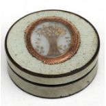 A Georgian patch box with tortoiseshell liner and memorial hair panel to lid, 6.4cms (2.5ins)