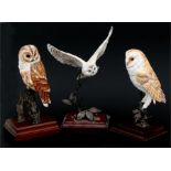 A group of David Fryer design Royal Worcester birds, to include Barn Owl; Tawney Owl and Snowy Owl