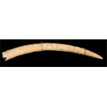 African / Tribal art. An early 20th century Loango carved ivory tusk decorated with foliage and