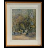 George Henry Downing (1878-1940) - A Woodland Path - signed lower left, watercolour, framed &