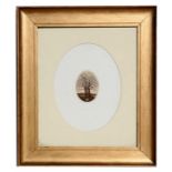 Michael Wolff, - Oak Trees - oval aquatint, monogrammed and signed and dated ' 84 in pencil to