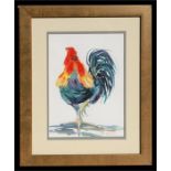 Jill Biddick - Rooster with Attitude - signed lower right, watercolour, framed & glazed, 19 by 26cms