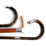 A Victorian ivory handled Malacca walking stick with silver collar; together with two silver mounted