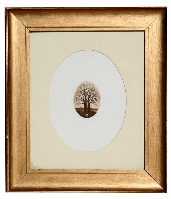 Michael Wolff, - Oak Trees - oval aquatint, monogrammed and signed and dated ' 84 in pencil to