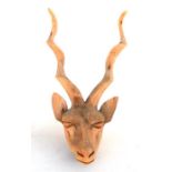 A carved wooden antelope head. 79cm (31ins) high