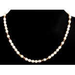 A pearl necklace with 14ct gold clasp, 41cms (16ins) long.