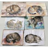 Collino, Julie - a folio containing unframed watercolour paintings and pencil sketches of cats and
