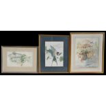 Clare Hackney - Mackerel - signed & dated '88 lower right, watercolour, framed & glazed, gallery
